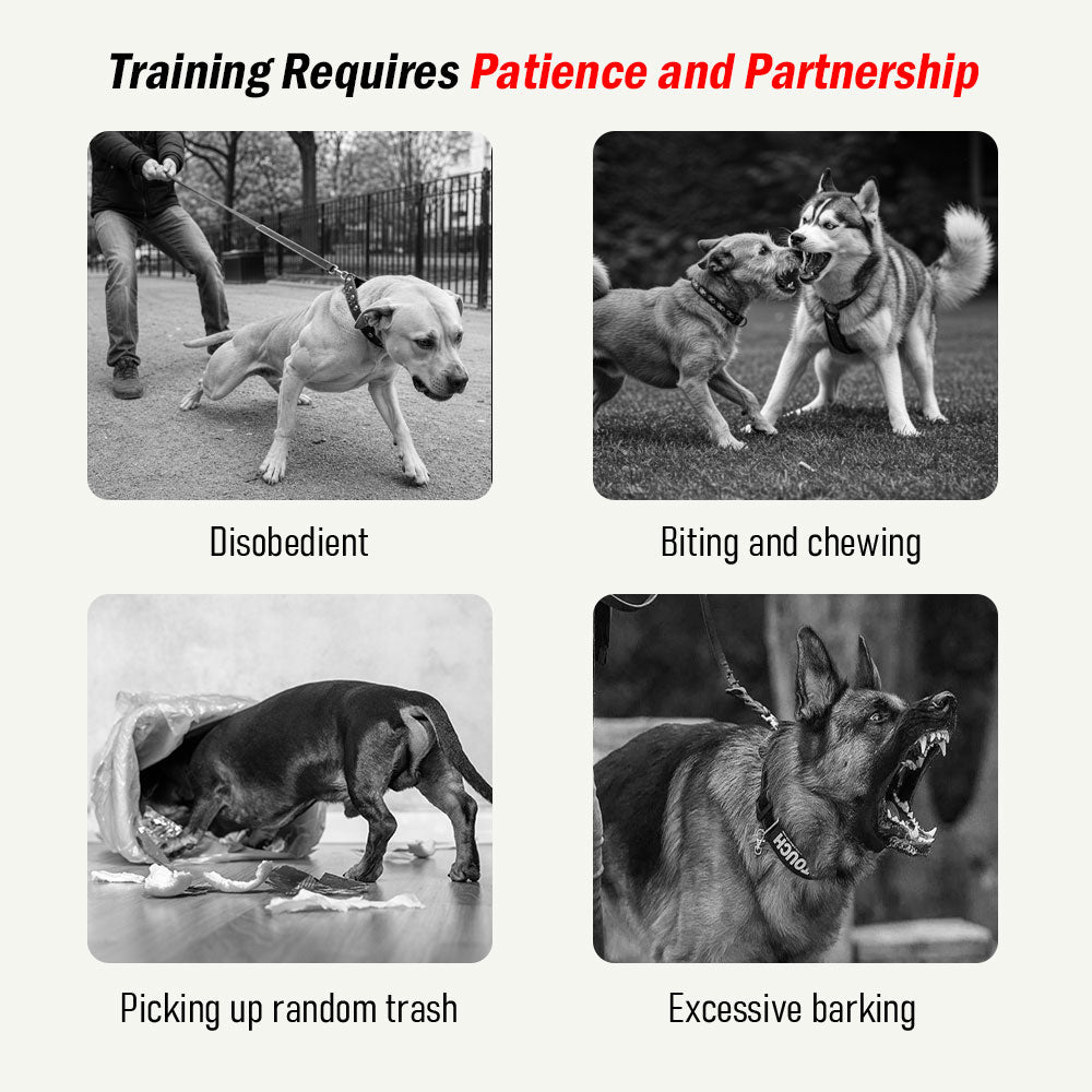 LuckyU Smart Dog Training Collar with Remote