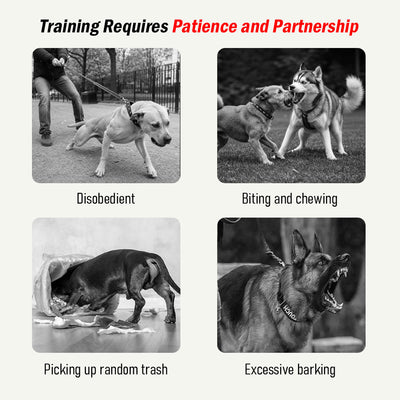 LuckyU Smart Dog Training Collar with Remote