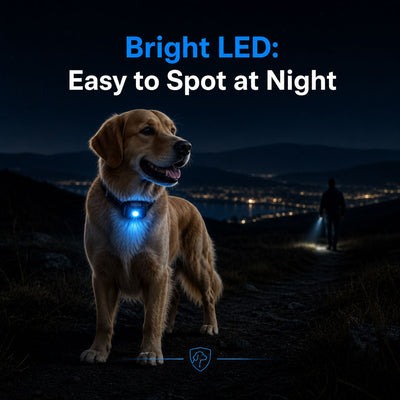 LuckyU Smart Dog Training Collar with Remote